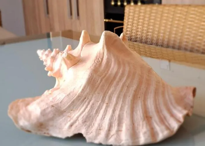 Casa Isleta * ラ・マンガ・デル・マール・メノール